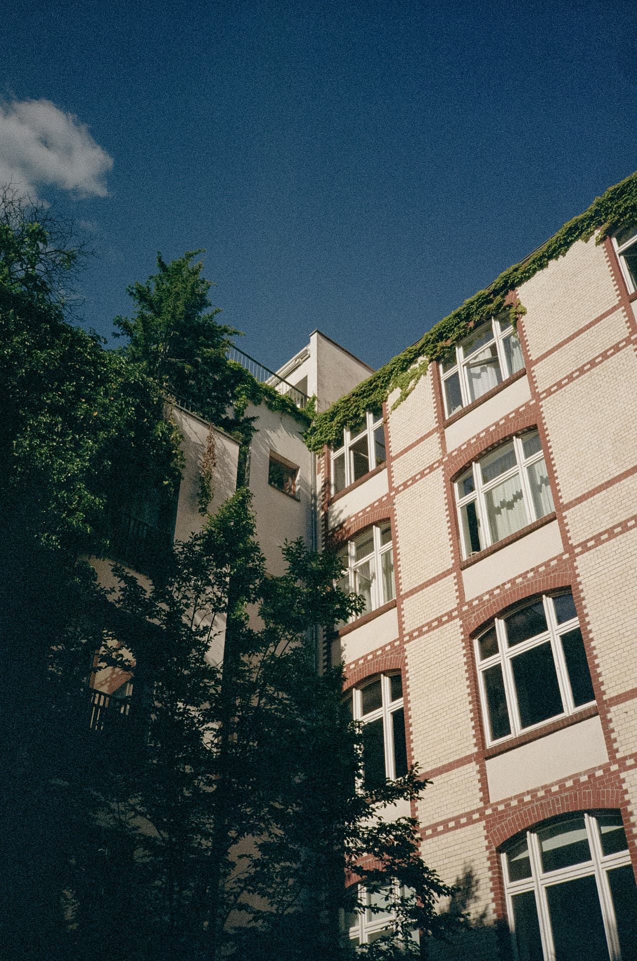 Begrünter Berliner Hinterhof mit Backsteinfassade