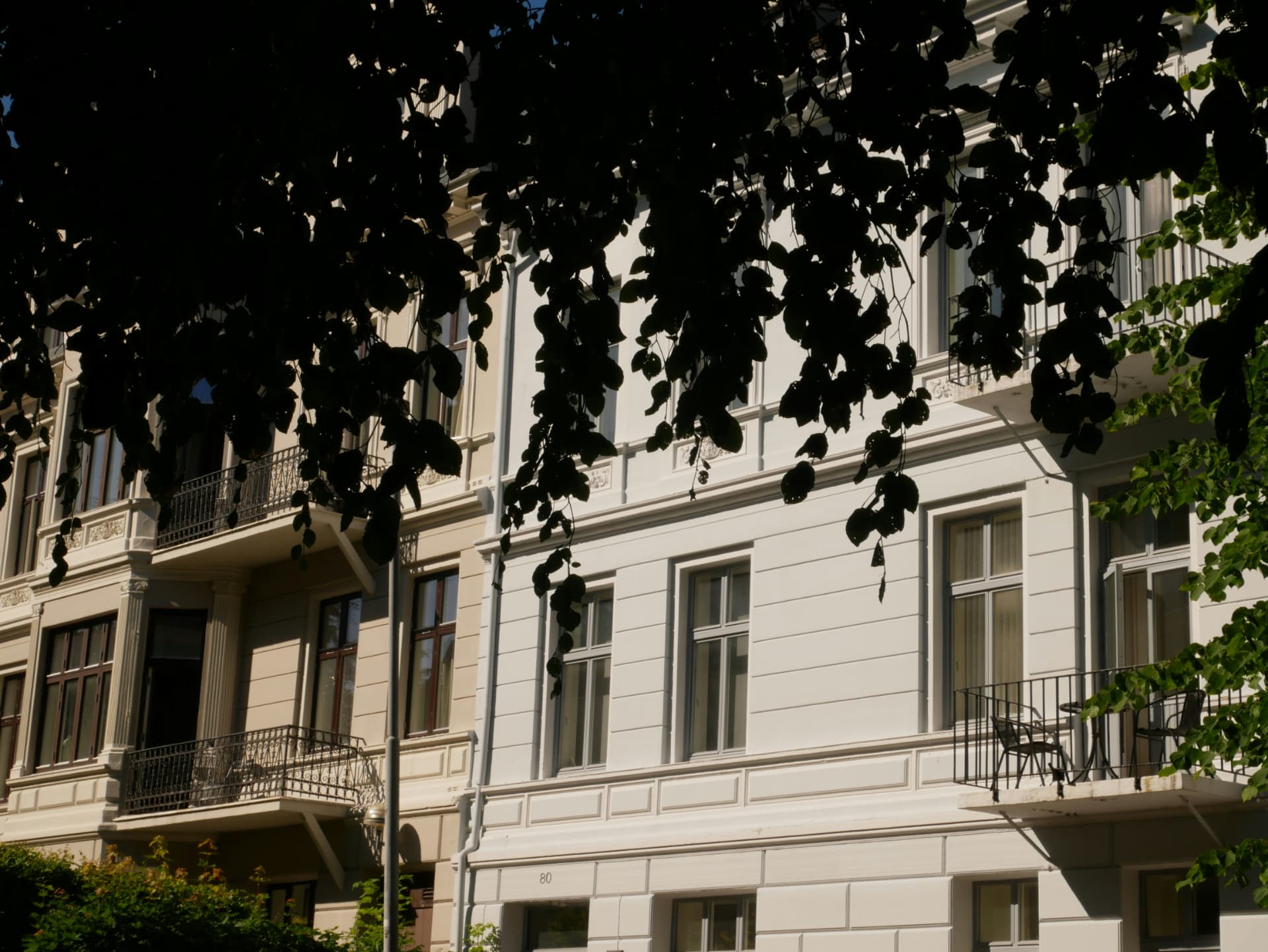 Altbaufassade mit Balkonen hinter Laub